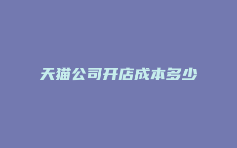 天猫公司开店成本多少合理