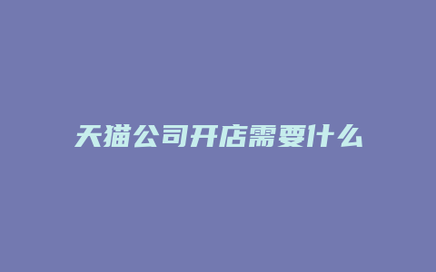 天猫公司开店需要什么