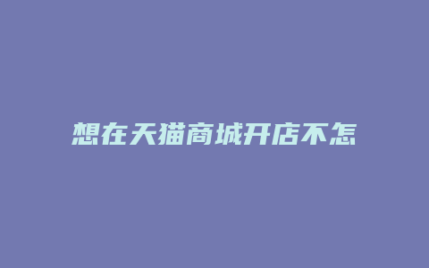 想在天猫商城开店不怎么样