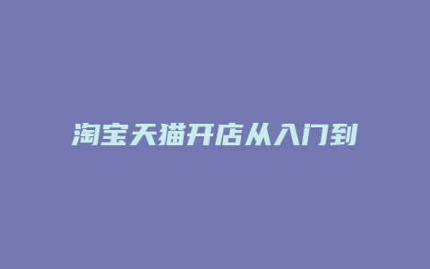 淘宝天猫开店从入门到精通pdf